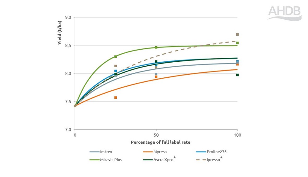 Rhynchosporium yield fungicide performance response chart 2024